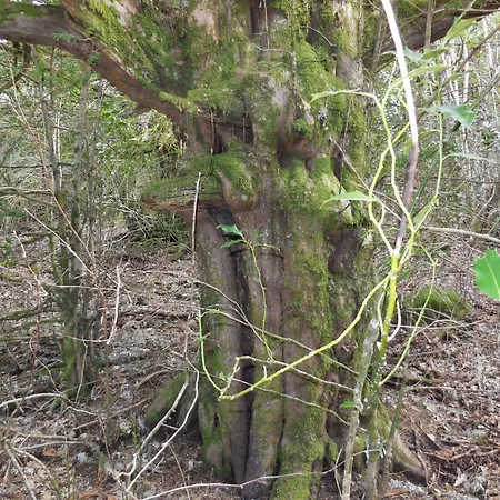 Herberg Real La Pascasia