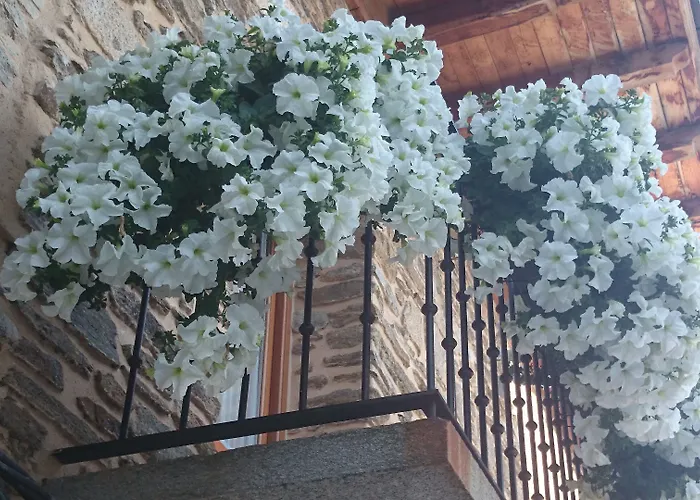 여관 Real La Pascasia